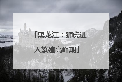 黑龙江：狮虎进入繁殖高峰期