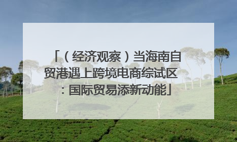 （经济观察）当海南自贸港遇上跨境电商综试区：国际贸易添新动能