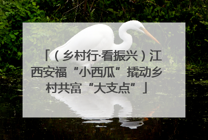 （乡村行·看振兴）江西安福“小西瓜”撬动乡村共富“大支点”