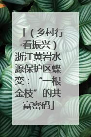 （乡村行·看振兴）浙江黄岩水源保护区蝶变：“一根金枝”的共富密码