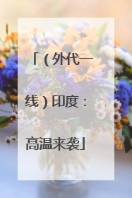 （外代一线）印度：高温来袭