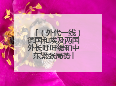 （外代一线）德国和埃及两国外长呼吁缓和中东紧张局势