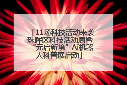 11场科技活动来袭 珠晖区科技活动周暨“元启新境”Ai机器人科普展启动