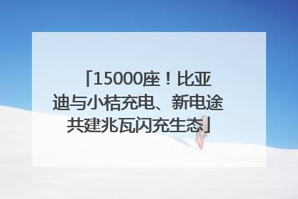 15000座！比亚迪与小桔充电、新电途共建兆瓦闪充生态