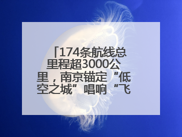 174条航线总里程超3000公里，南京锚定“低空之城”唱响“飞得更高”