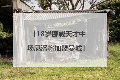 18岁挪威天才中场尼潘将加盟曼城