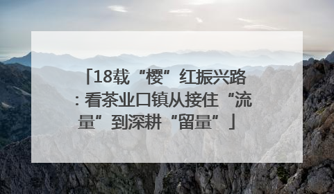 18载“樱”红振兴路：看茶业口镇从接住“流量”到深耕“留量”