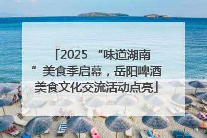 2025 “味道湖南”美食季启幕，岳阳啤酒美食文化交流活动点亮