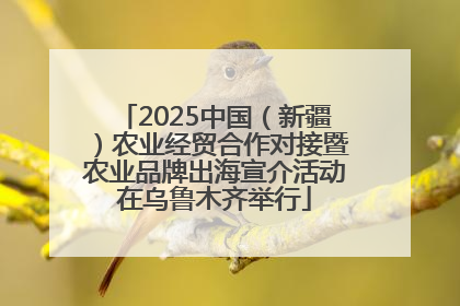 2025中国（新疆）农业经贸合作对接暨农业品牌出海宣介活动在乌鲁木齐举行