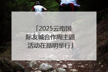 2025云南国际友城合作周主题活动在昆明举行