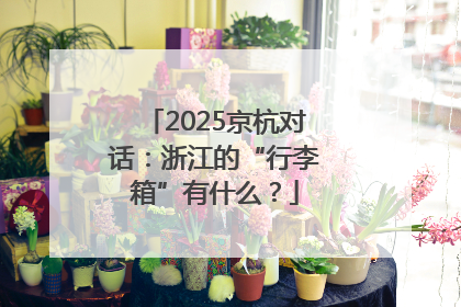 2025京杭对话：浙江的“行李箱”有什么？