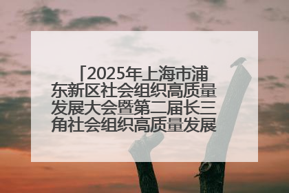 2025年上海市浦东新区社会组织高质量发展大会暨第二届长三角社会组织高质量发展峰会成功举办