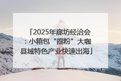 2025年廊坊经洽会：小箱包“圈粉”大咖 县域特色产业快速出海
