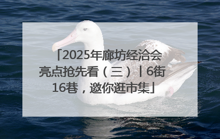 2025年廊坊经洽会亮点抢先看（三）丨6街16巷，邀你逛市集
