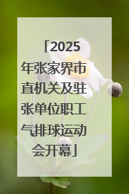 2025年张家界市直机关及驻张单位职工气排球运动会开幕