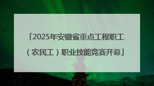2025年安徽省重点工程职工（农民工）职业技能竞赛开幕