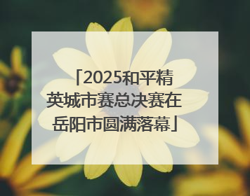 2025和平精英城市赛总决赛在岳阳市圆满落幕