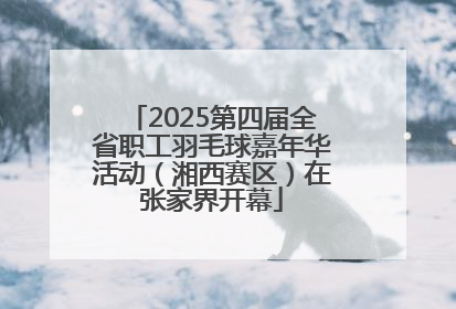 2025第四届全省职工羽毛球嘉年华活动（湘西赛区）在张家界开幕