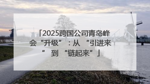2025跨国公司青岛峰会“升级”：从 “引进来” 到 “链起来”