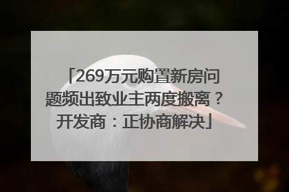 269万元购置新房问题频出致业主两度搬离？开发商：正协商解决
