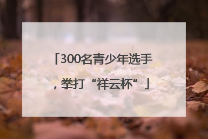 300名青少年选手，拳打“祥云杯”