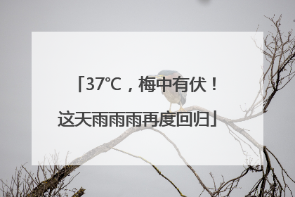 37℃，梅中有伏！这天雨雨雨再度回归