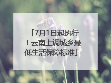 7月1日起执行！云南上调城乡最低生活保障标准