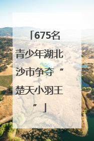675名青少年湖北沙市争夺“楚天小羽王”