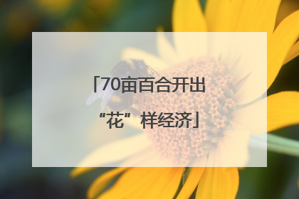 70亩百合开出“花”样经济