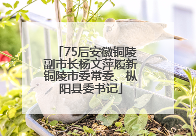 75后安徽铜陵副市长杨文萍履新铜陵市委常委、枞阳县委书记