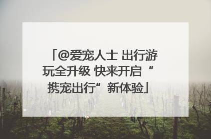 @爱宠人士 出行游玩全升级 快来开启“携宠出行”新体验