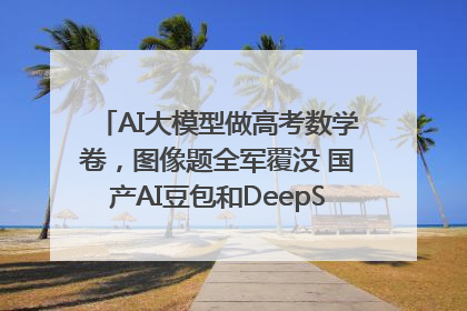 AI大模型做高考数学卷，图像题全军覆没 国产AI豆包和DeepSeek均得分144