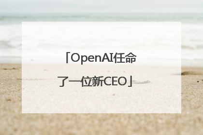 OpenAI任命了一位新CEO