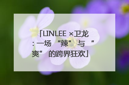LINLEE ×卫龙：一场 “辣” 与 “爽” 的跨界狂欢