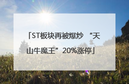 ST板块再被爆炒 “天山牛魔王”20%涨停