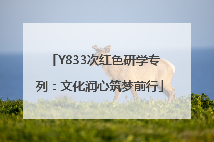 Y833次红色研学专列：文化润心筑梦前行